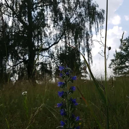 Anders 3* Bad Füssing