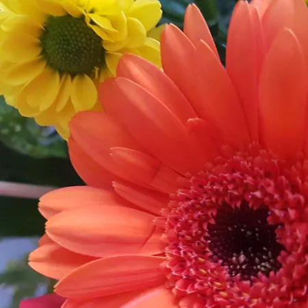 Anders Otel Bad Füssing