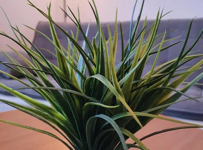 Hotel Anders Bad Fussing