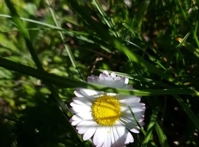 Anders 3* Bad Fussing