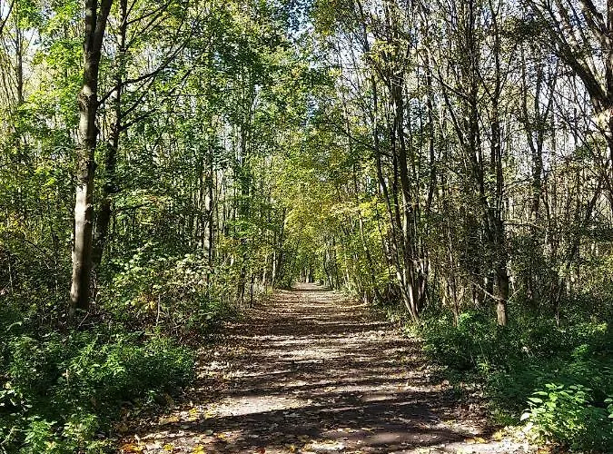 Hotel Anders Bad Fussing