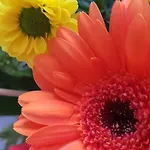 Anders فندق باد فسينغ
