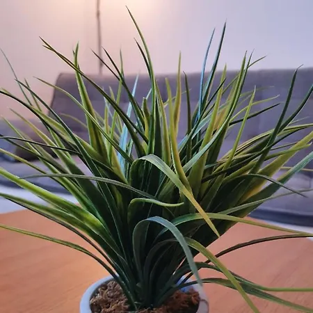 Hotel Anders Bad Fussing