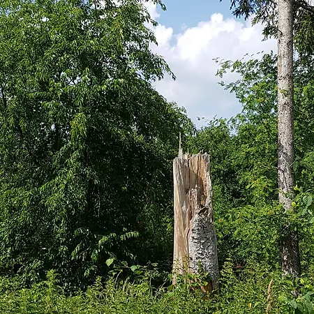 Hotel Anders Bad Fussing