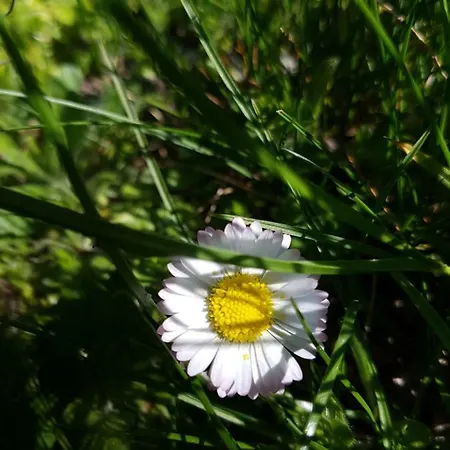 Anders 3* Bad Fussing