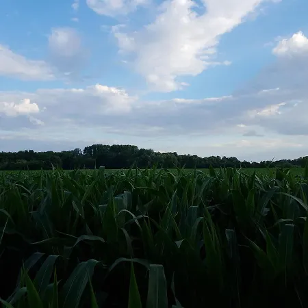 Anders Hotel Bad Fussing