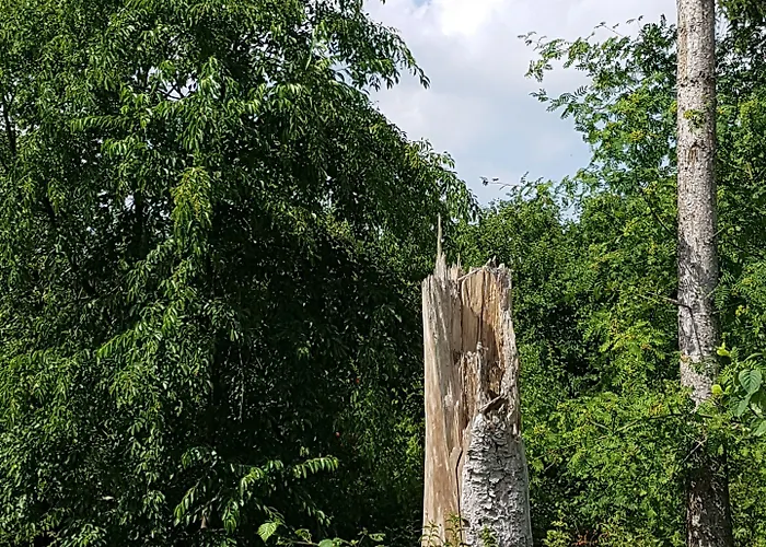 Hotell Anders Bad Füssing