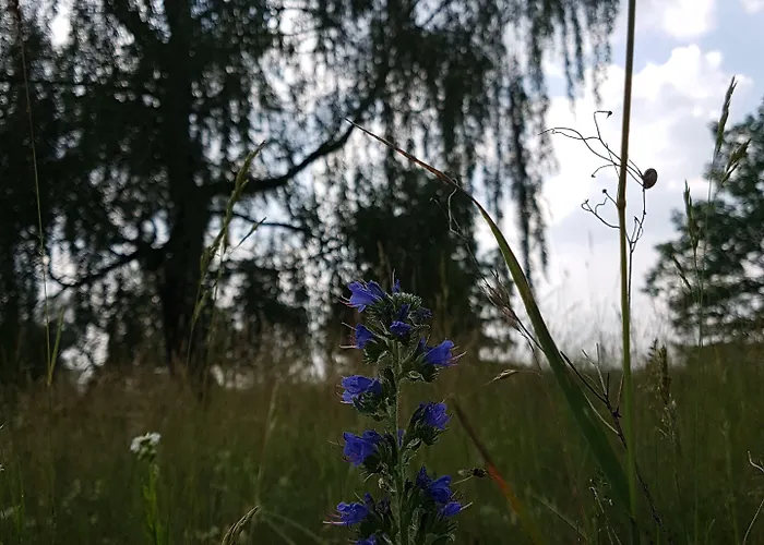 Anders 3* Bad Füssing