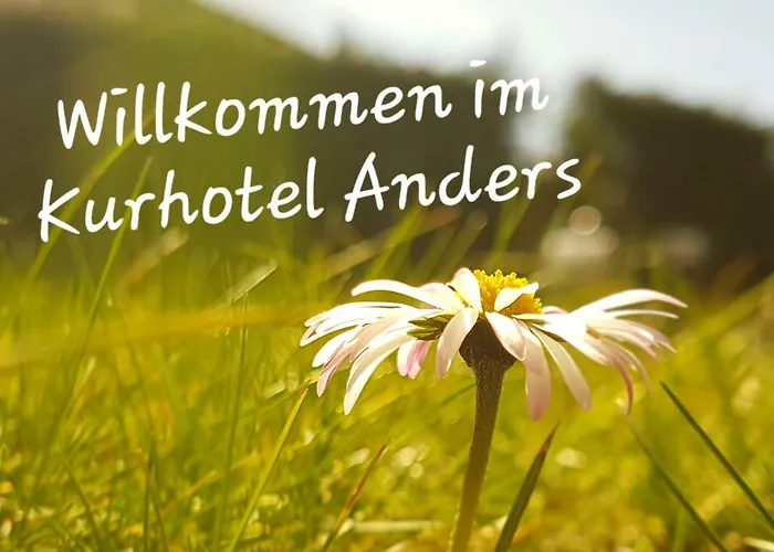 Hotell Anders 3*
