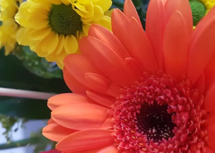 Anders Hotell Bad Füssing