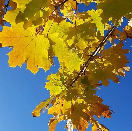 Anders Hotel Bad Füssing